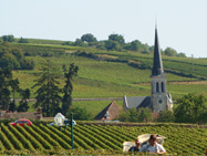 Domaine de la confrérie